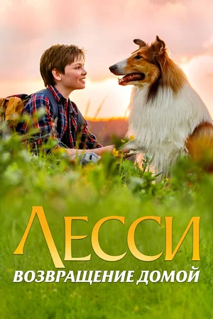 Лесси. Возвращение домой / Lassie - Eine abenteuerliche Reise (2020) BDRip | iTunes